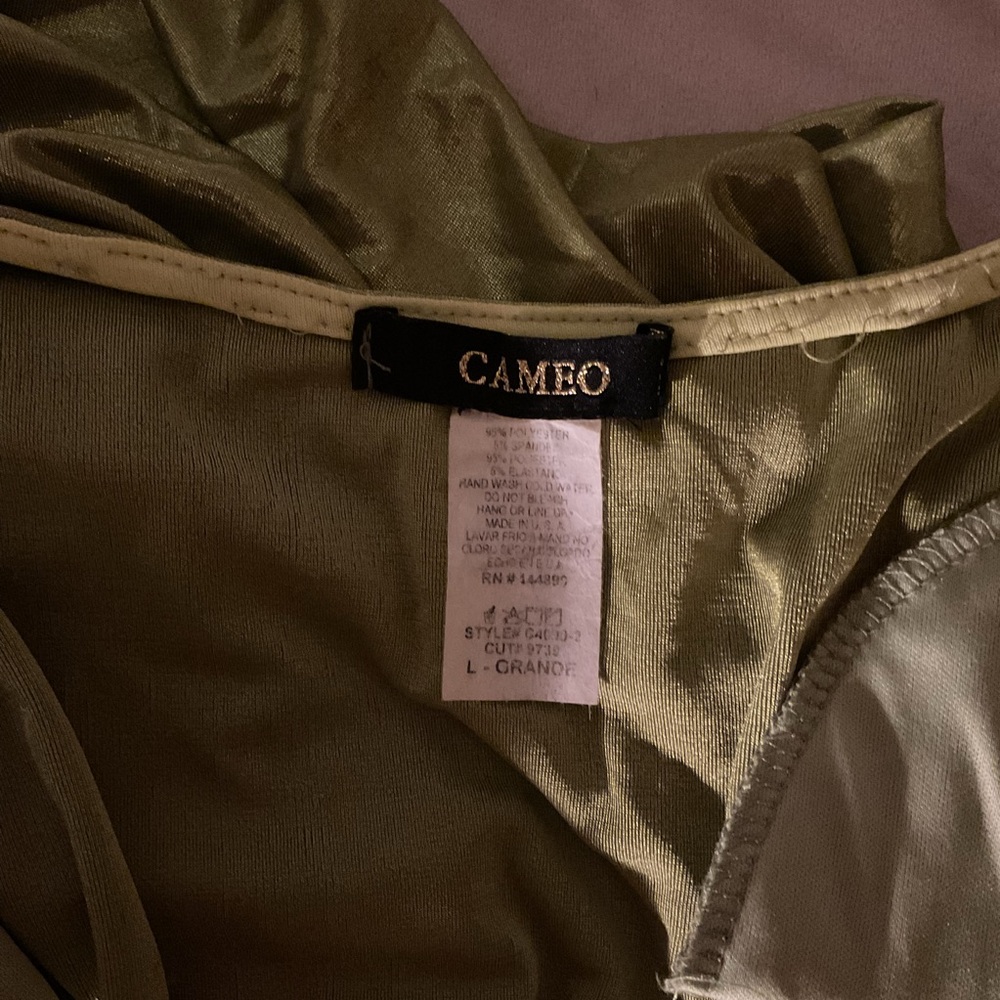 Cameo Sage Green Satin Dress